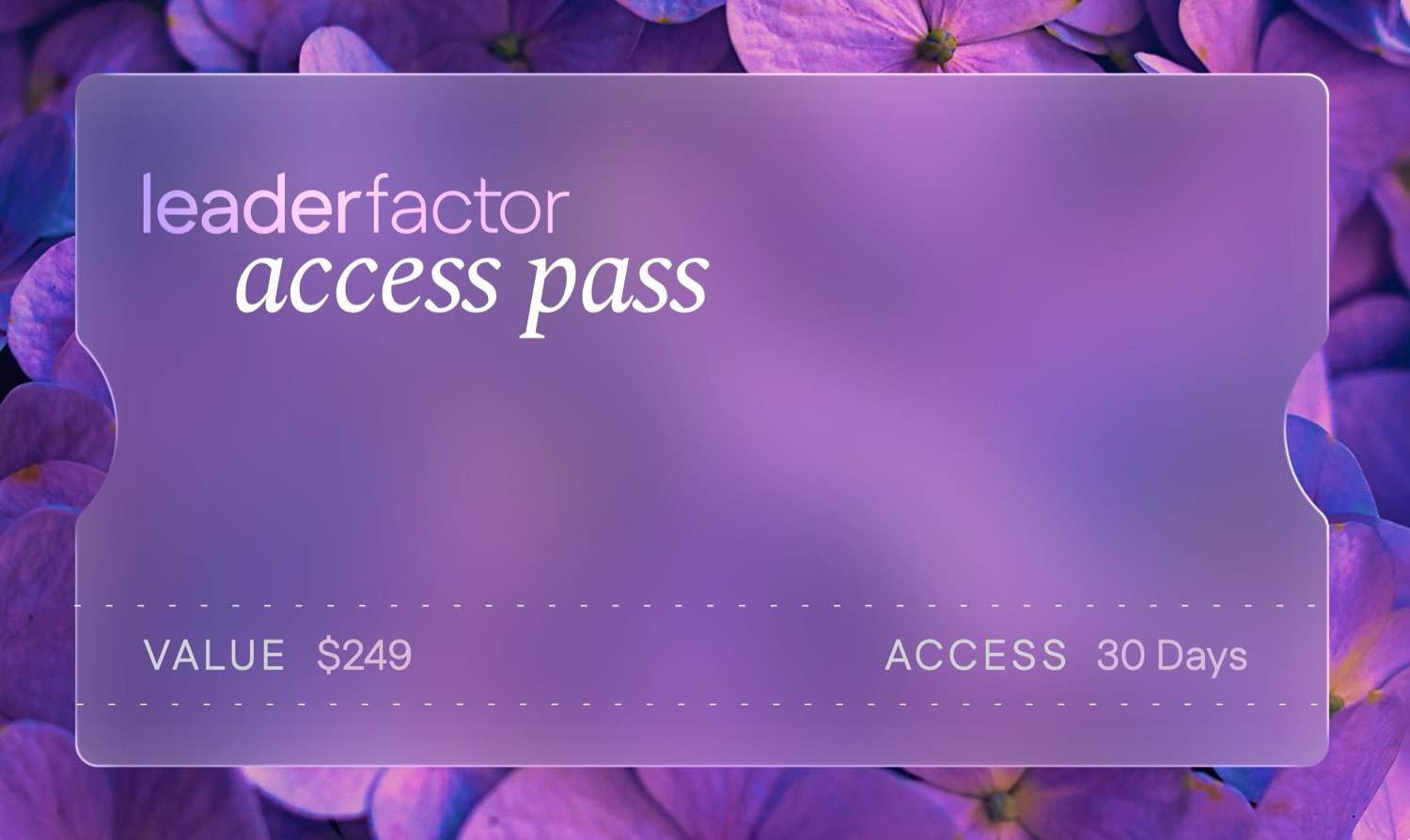 LeaderFactor Access Pass — Hydrangea