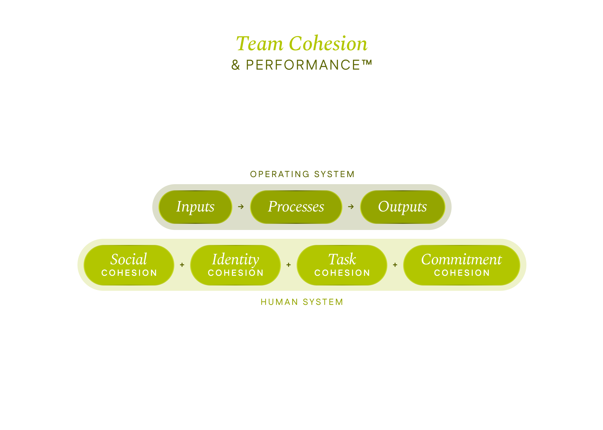 Team Cohesion & Performance™: Social cohesion, Task cohesion, Identity cohesion, Commitment cohesion, Inputs, Process, Outputs