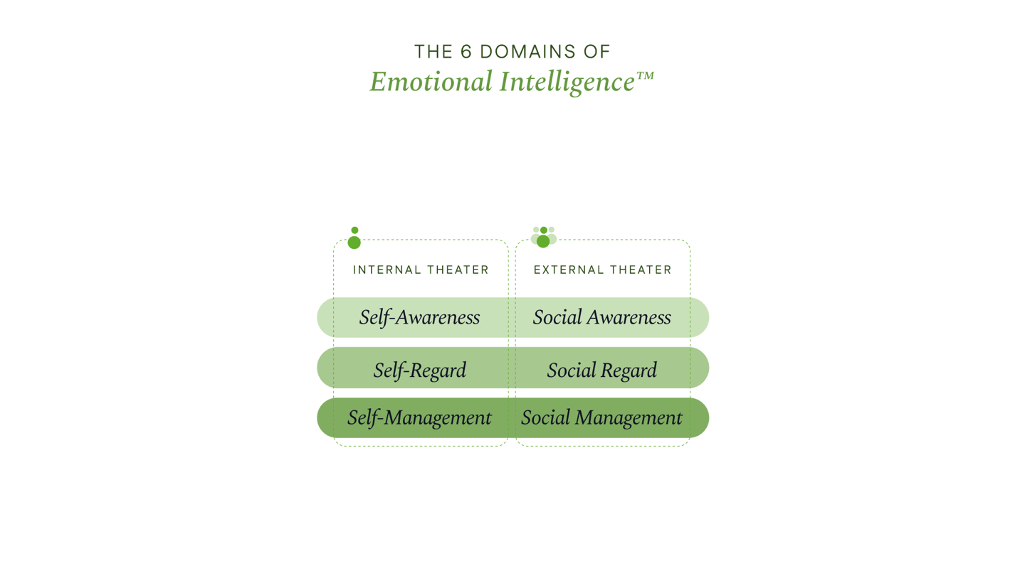 Slide — The six domains of emotional intelligence