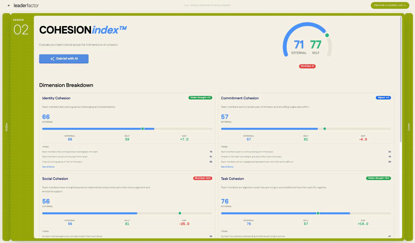COHESIONindex™ — Team Cohesion & Performance™